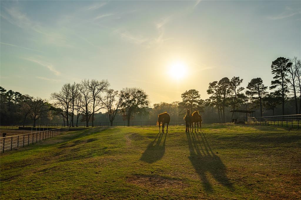 Cross Pines Ranch - Land