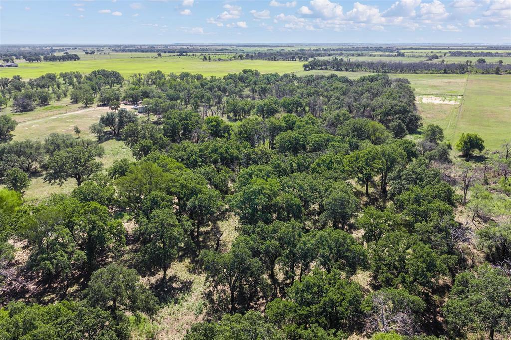 TBD County Road 309