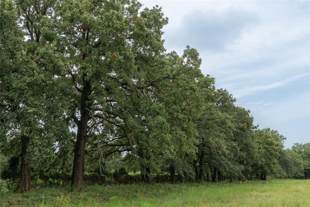 Shiloh Vista Ranch - Land