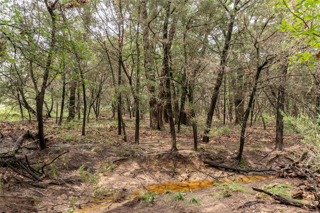 Shiloh Vista Ranch - Land