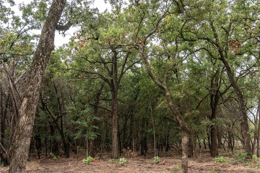 Shiloh Vista Ranch - Land