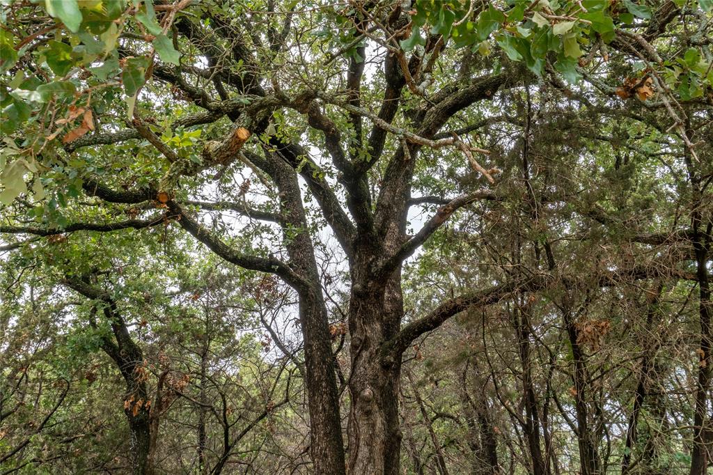 Shiloh Vista Ranch - Land