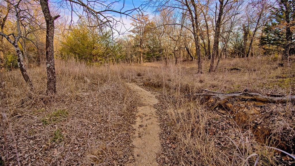 Silver Lakes Ranch - Land