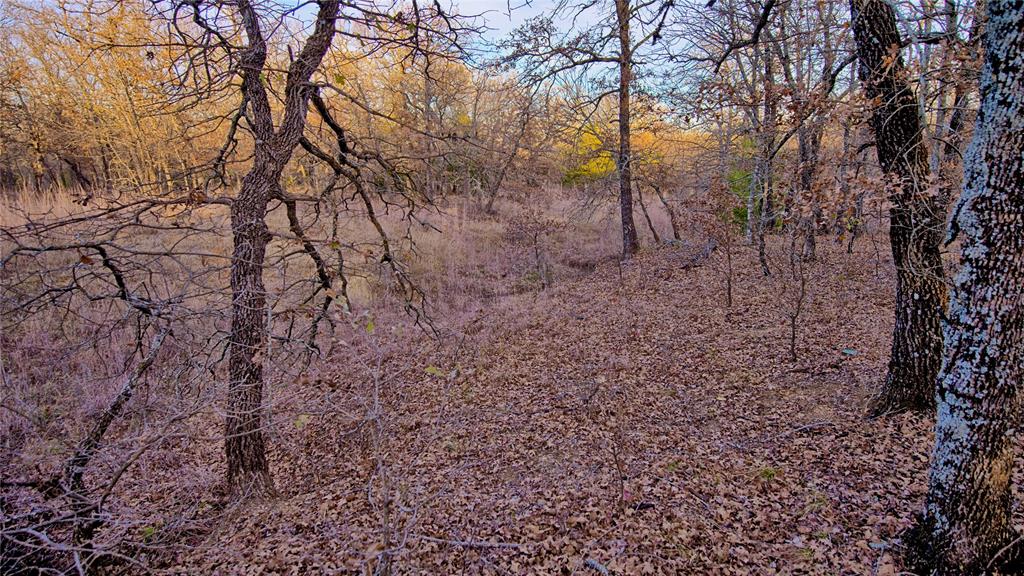 Silver Lakes Ranch - Land