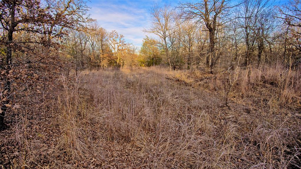 Silver Lakes Ranch - Land