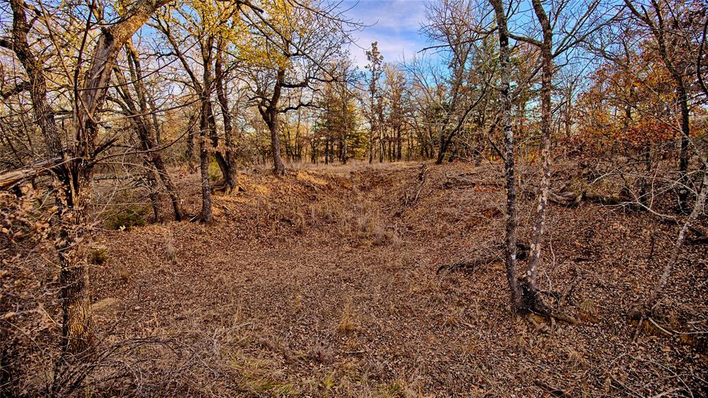 Silver Lakes Ranch - Land