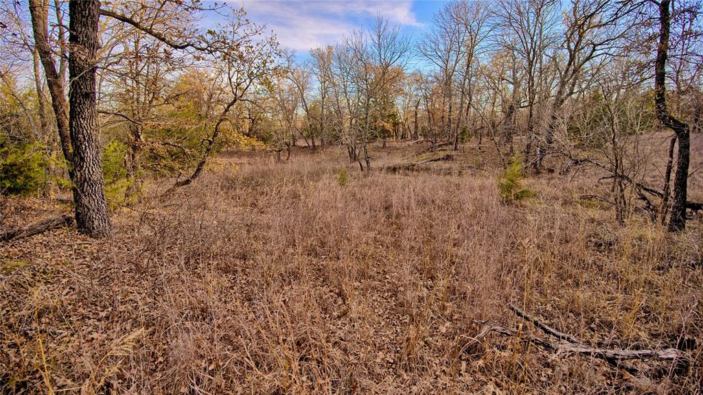 Silver Lakes Ranch - Land
