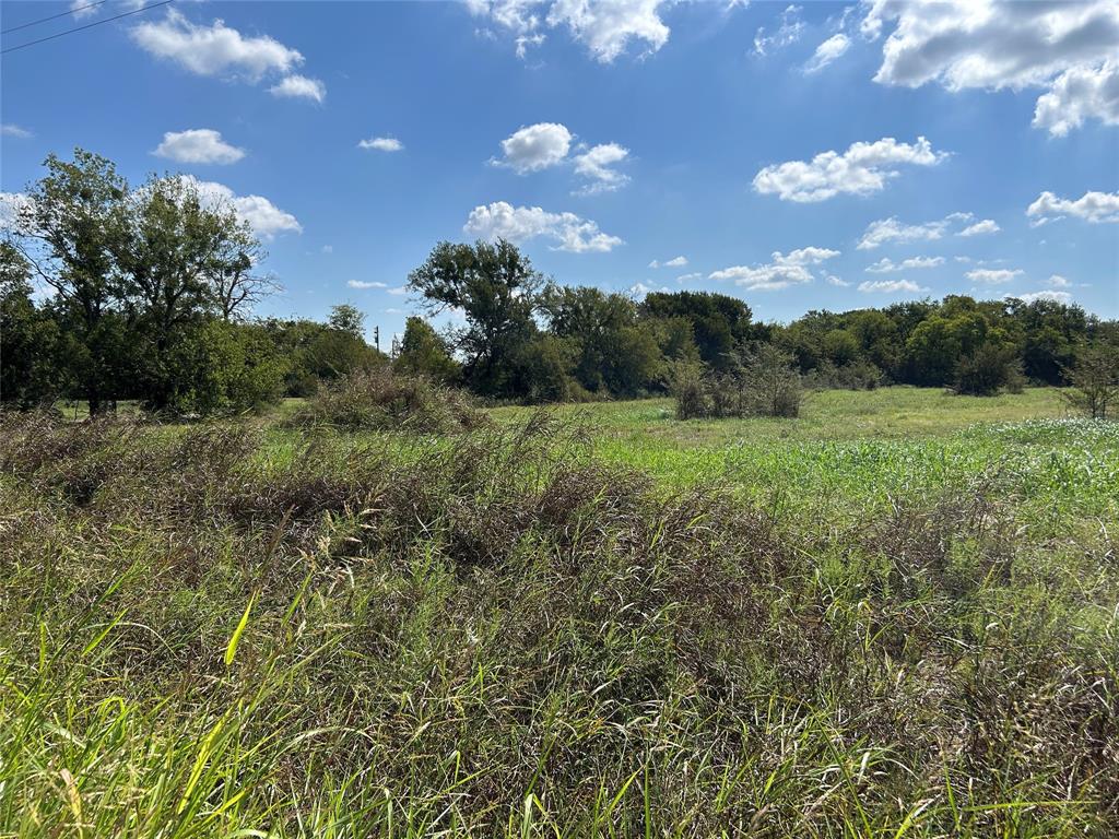 C Askins Surv Abs #2 - Land