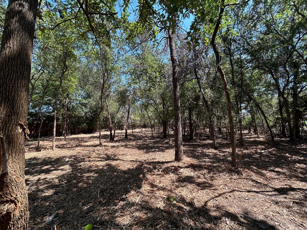 J Wilcox Survey - Land