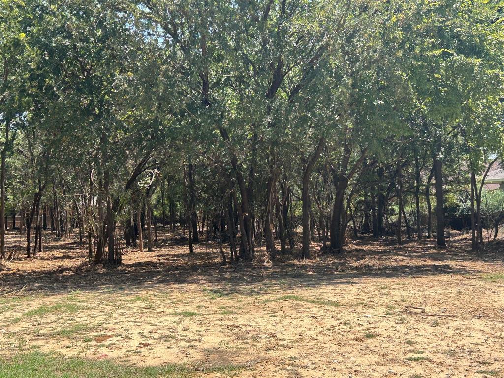 J Wilcox Survey - Land