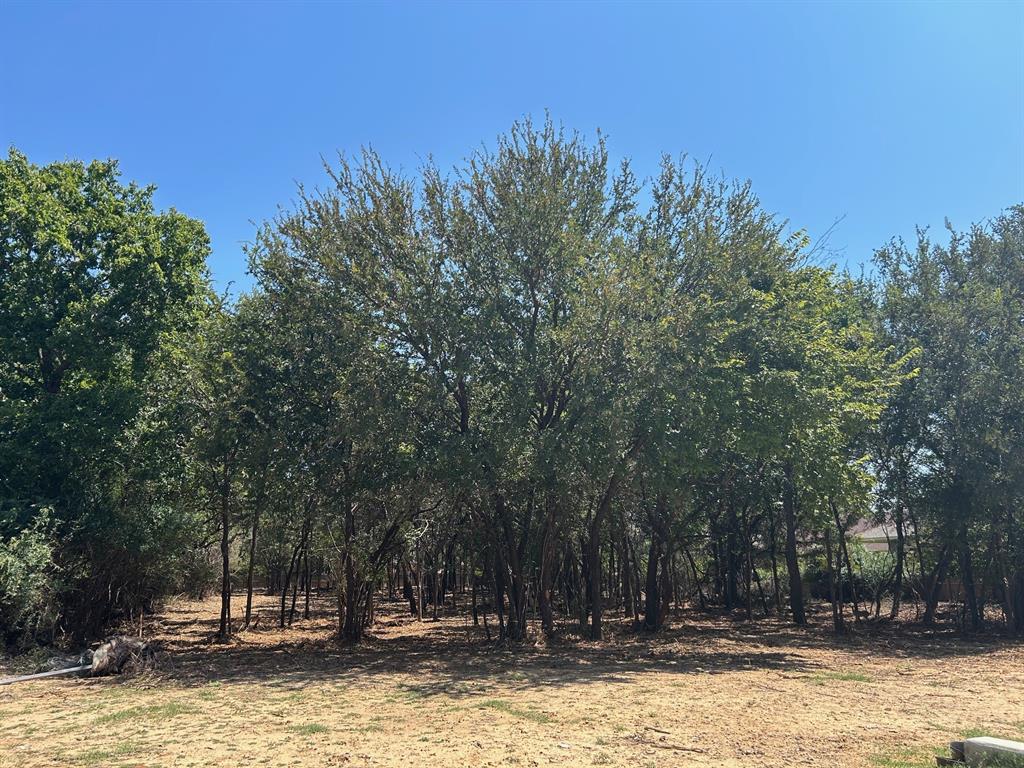 J Wilcox Survey - Land