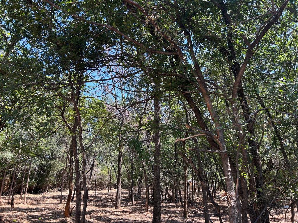 J Wilcox Survey - Land