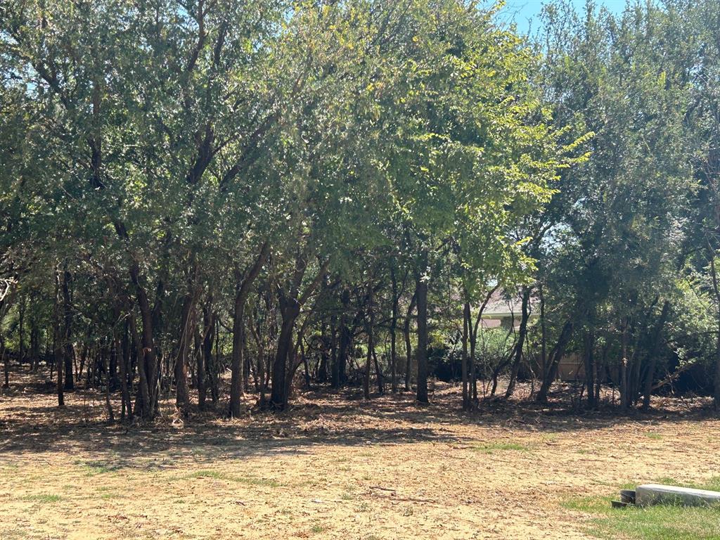 J Wilcox Survey - Land