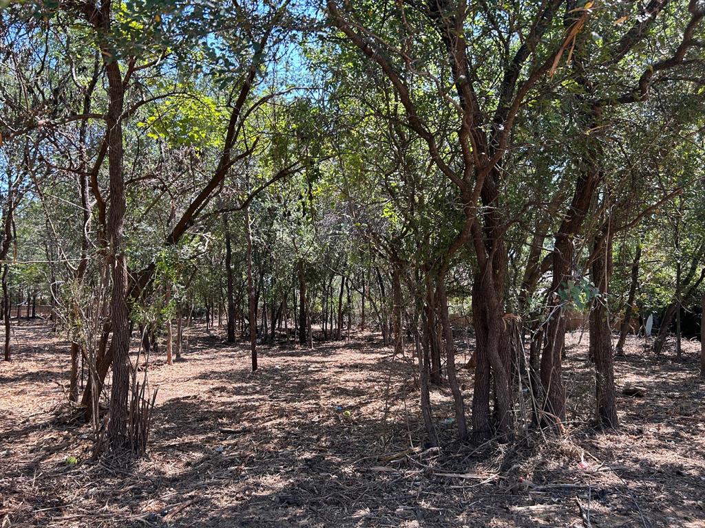 J Wilcox Survey - Land