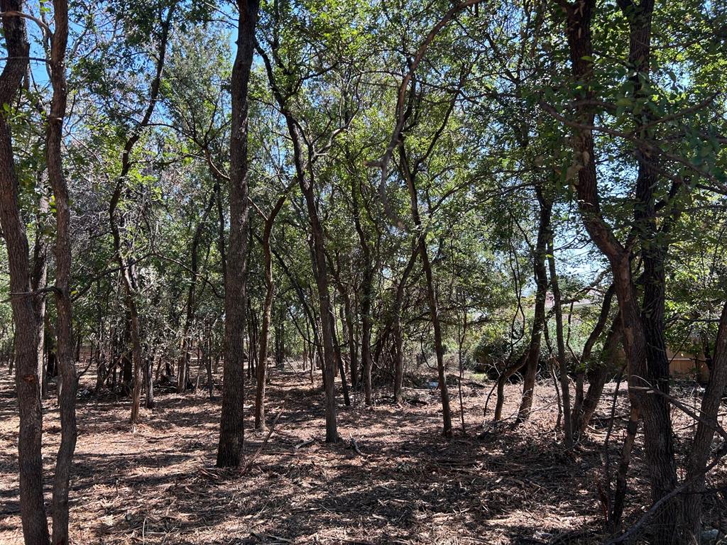 J Wilcox Survey - Land