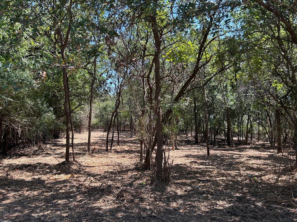 J Wilcox Survey - Land