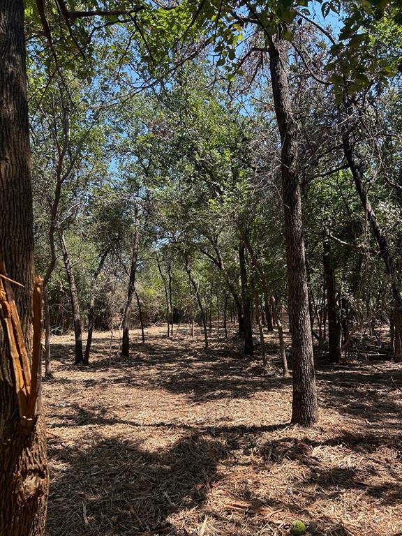 J Wilcox Survey - Land