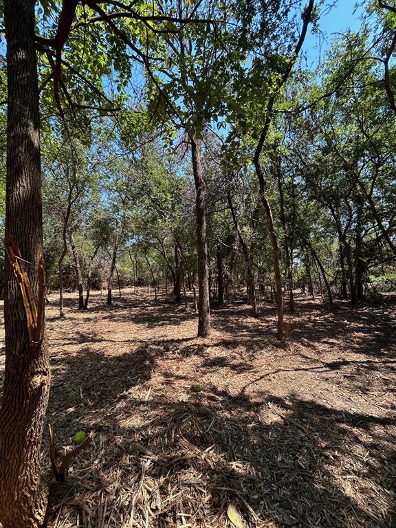 J Wilcox Survey - Land