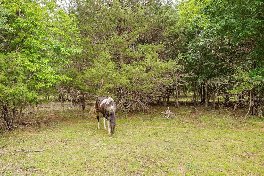 Country Vista Estates - Land