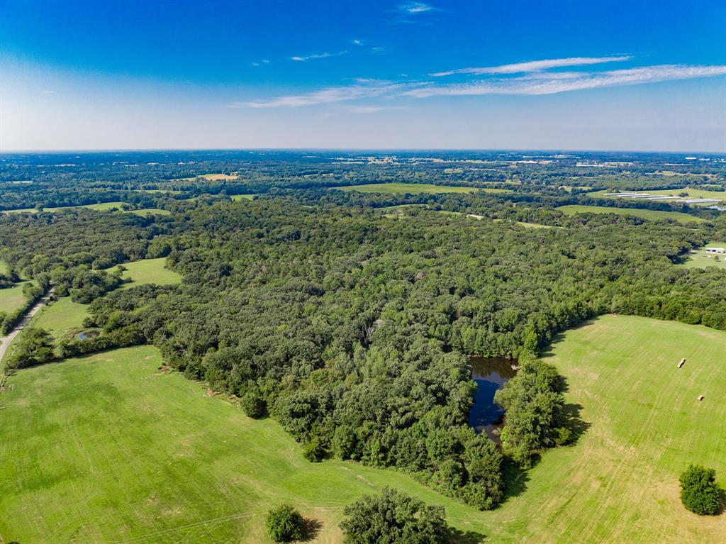 0000 County Road 3373