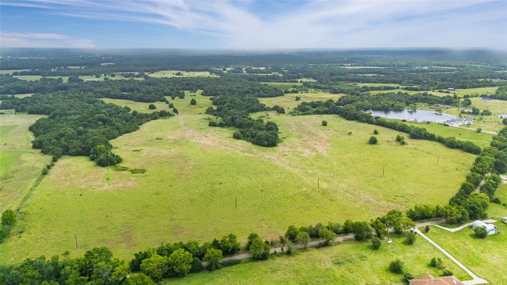 A-82 Martin Fearing Survey, A-39 Thomas Lake Surey - Farm