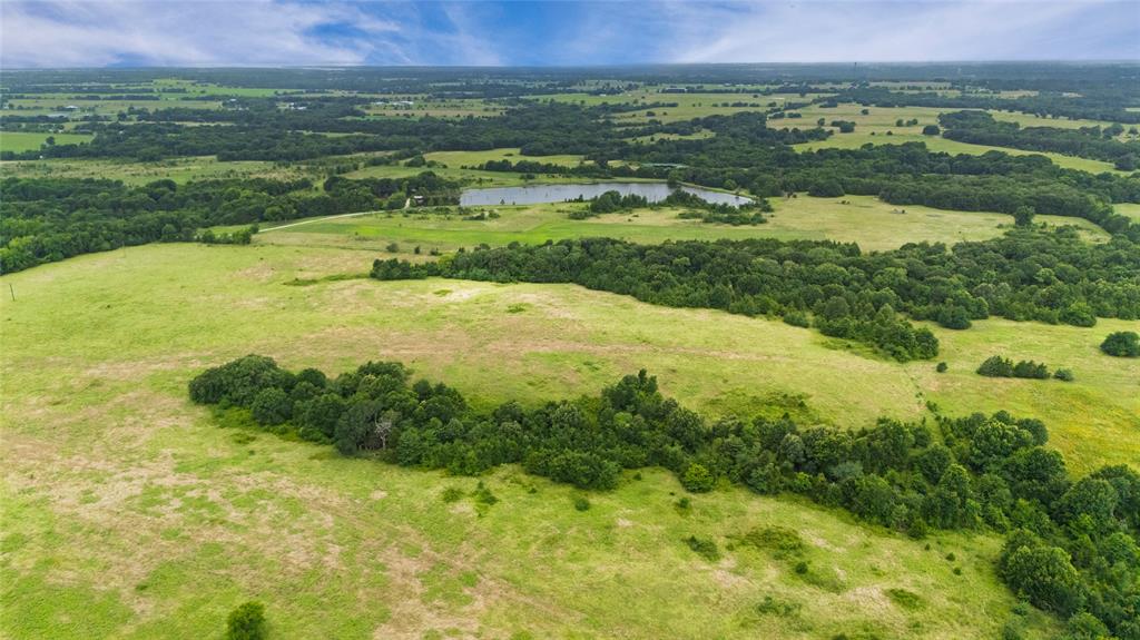 A-82 Martin Fearing Survey, A-39 Thomas Lake Surey - Farm