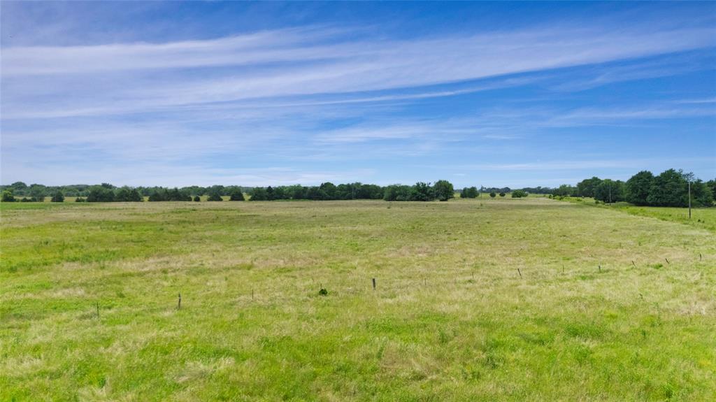 A-82 Martin Fearing Survey, A-39 Thomas Lake Surey - Farm