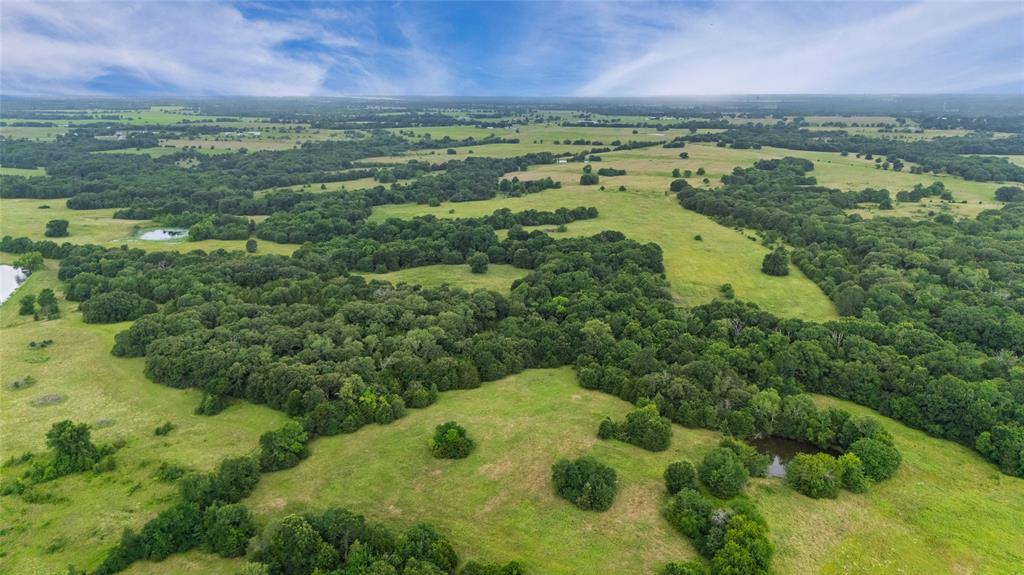 A-82 Martin Fearing Survey, A-39 Thomas Lake Surey - Farm