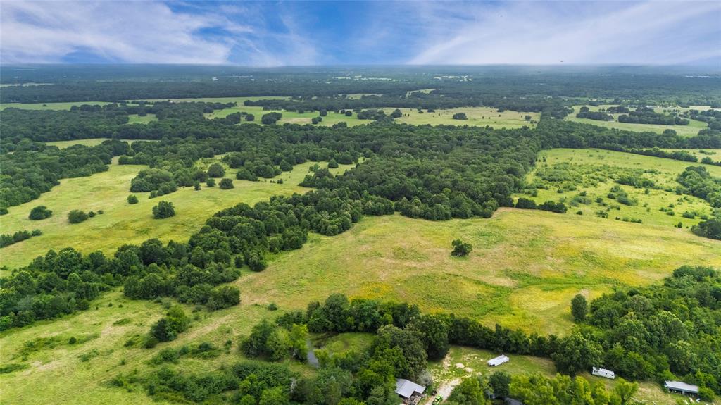 A-82 Martin Fearing Survey, A-39 Thomas Lake Surey - Farm