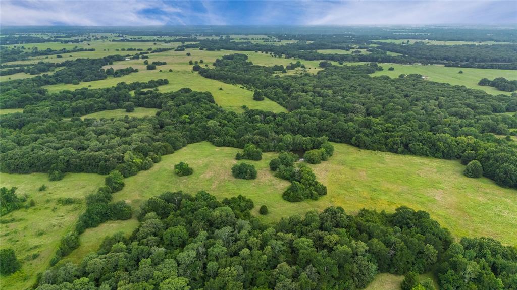 A-82 Martin Fearing Survey, A-39 Thomas Lake Surey - Farm