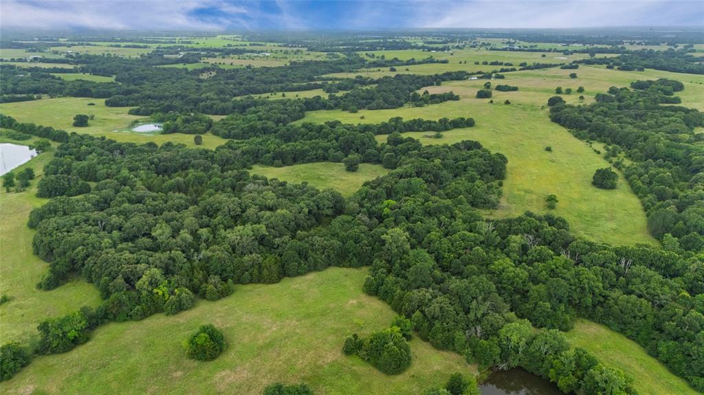 A-82 Martin Fearing Survey, A-39 Thomas Lake Surey - Farm