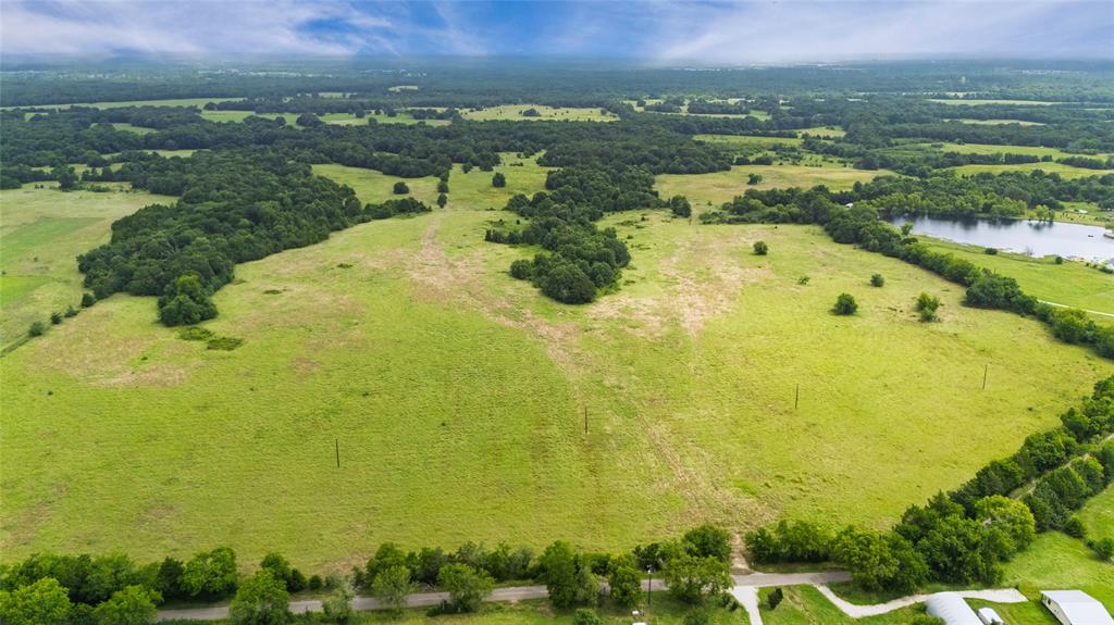 A-82 Martin Fearing Survey, A-39 Thomas Lake Surey - Farm