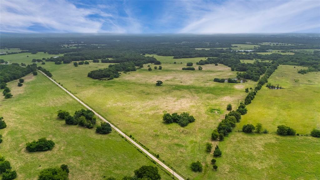 A-82 Martin Fearing Survey, A-39 Thomas Lake Surey - Farm