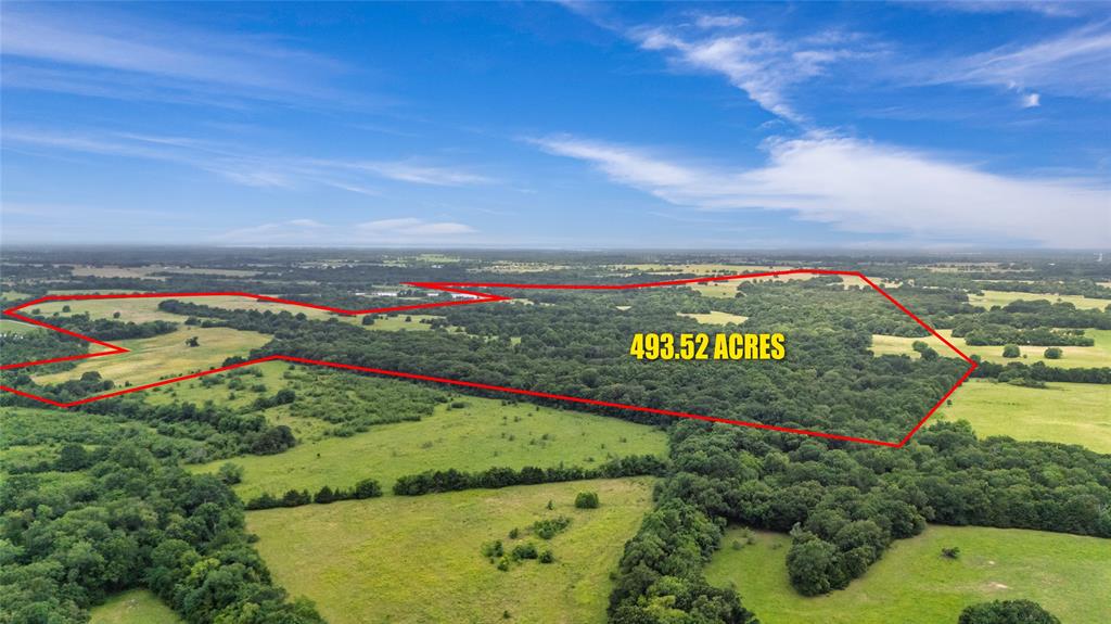 A-82 Martin Fearing Survey, A-39 Thomas Lake Surey - Farm