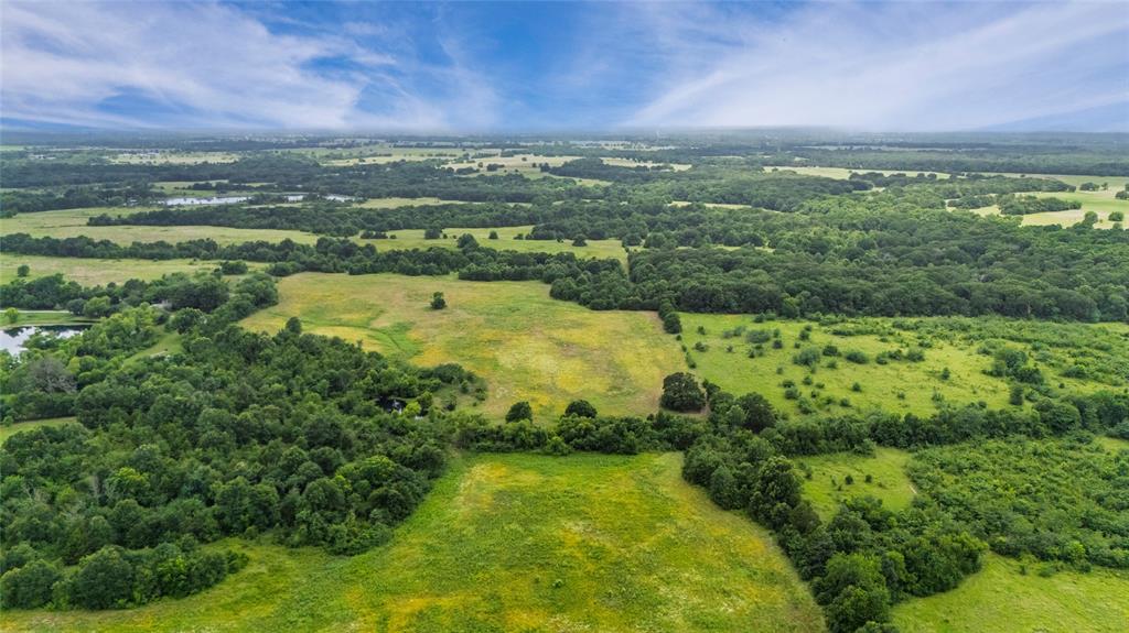 A-82 Martin Fearing Survey, A-39 Thomas Lake Surey - Farm