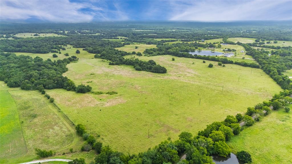 A-82 Martin Fearing Survey, A-39 Thomas Lake Surey - Farm