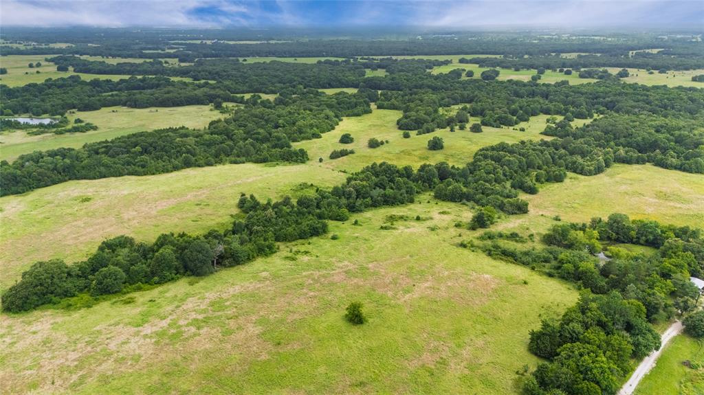 A-82 Martin Fearing Survey, A-39 Thomas Lake Surey - Farm