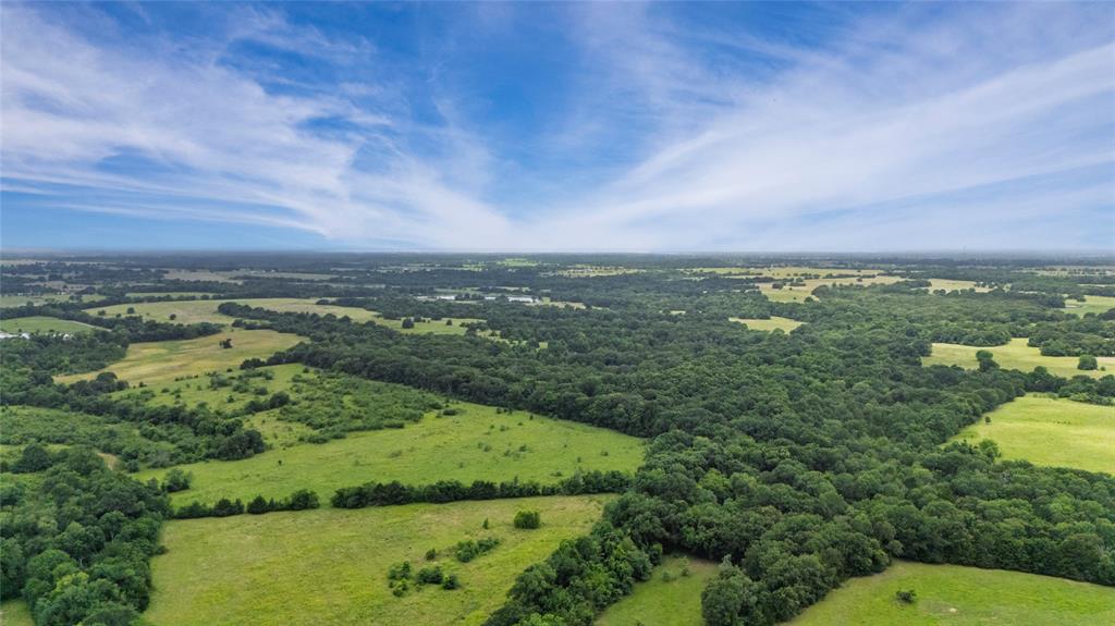 A-82 Martin Fearing Survey, A-39 Thomas Lake Surey - Farm