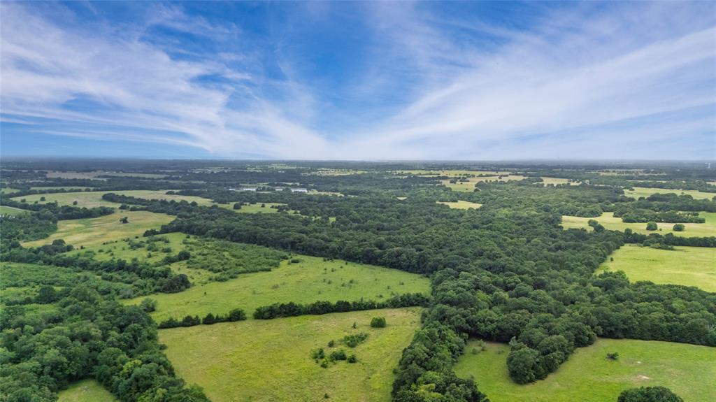 A-82 Martin Fearing Survey, A-39 Thomas Lake Surey - Farm