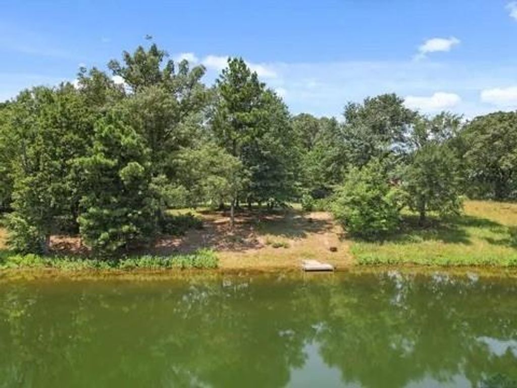 Photo of 429 Private Road, Big Sandy, TX 75575 (MLS # 21138747)