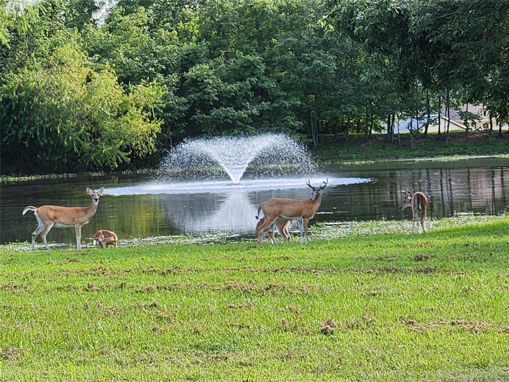 Sandlin Ranch - Land