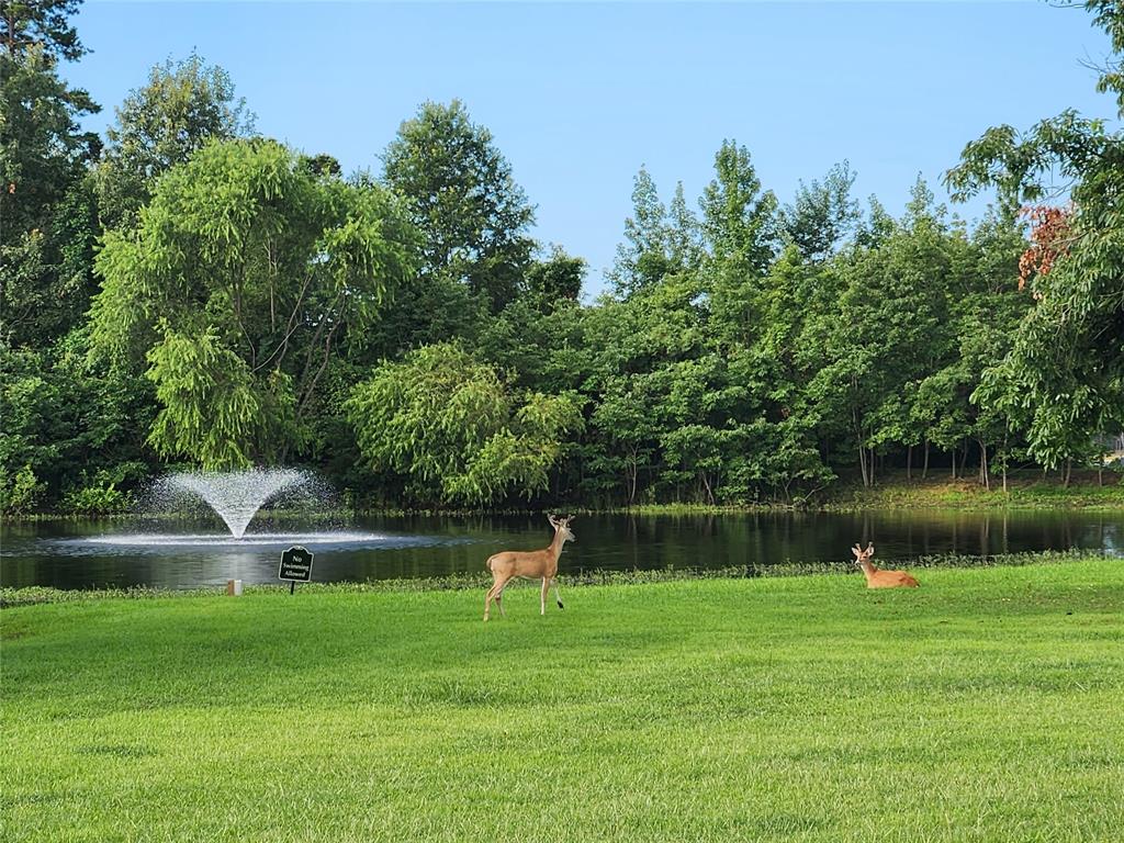 Sandlin Ranch - Land