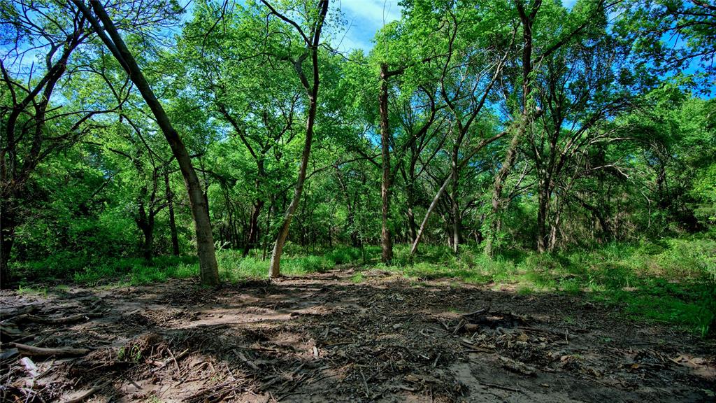 Starkey Ranch - Land