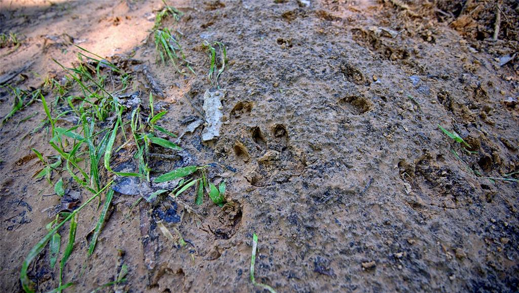 Starkey Ranch - Land