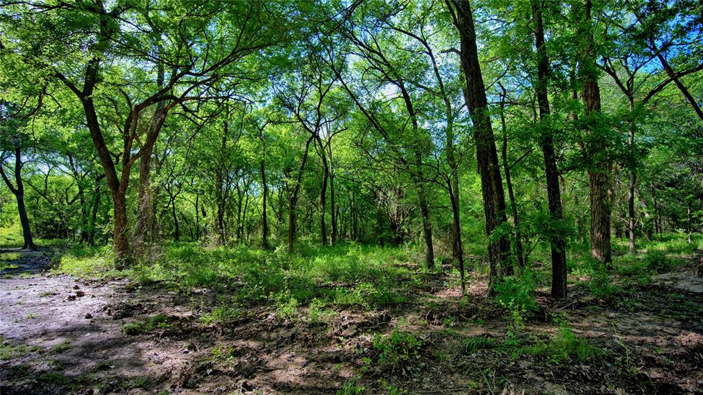 Starkey Ranch - Land