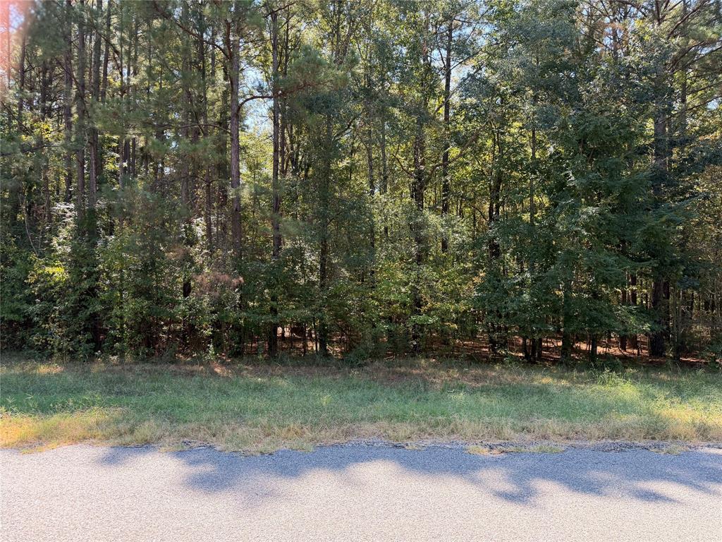 0005 Airline Road
