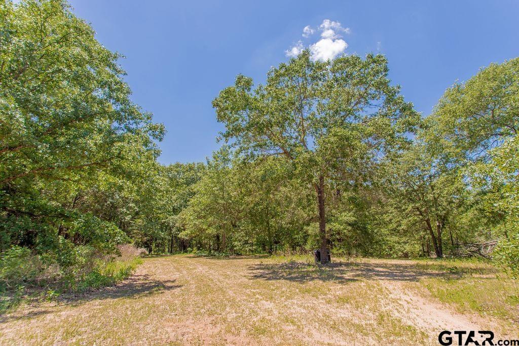 A100337-A0337 J Ellis - Residential