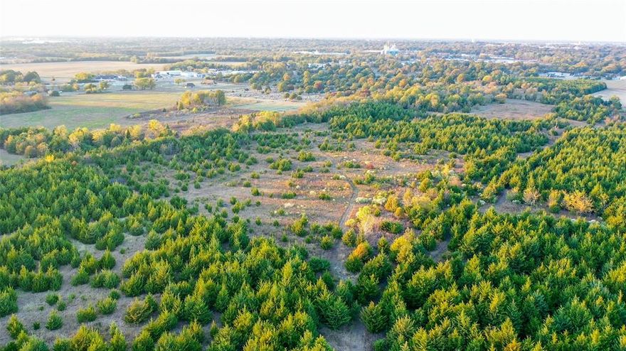 Discover 15 beautiful acres nestled on SE 6th Street in Paris, TX — a rare opportunity for builders, investors, or anyone seeking space to create their ideal property. This tract features a balanced mix of open areas and wooded sections, offering both privacy and flexibility for development or recreational use. With convenient road frontage on SE 6th St., access is easy while still maintaining a peaceful, secluded feel. Whether you’re envisioning a private homestead, small residential community, or agricultural project, this land offers endless potential in a growing area of Lamar County.