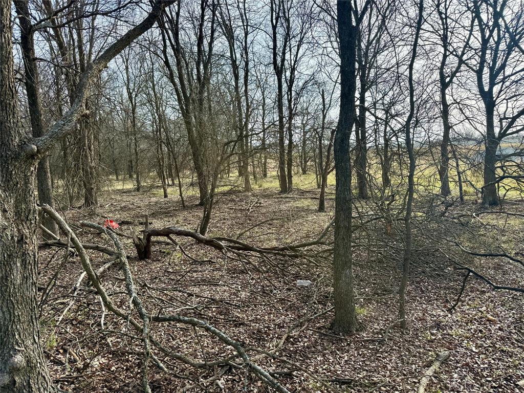 F White A-1010 - Land