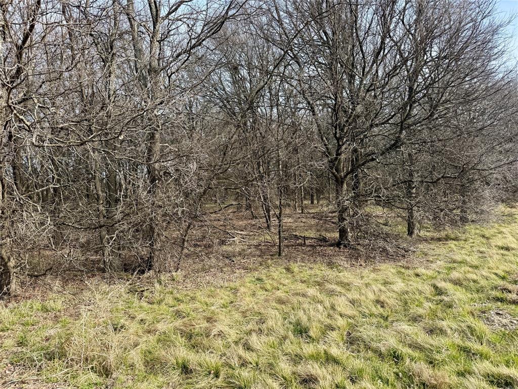 F White A-1010 - Land